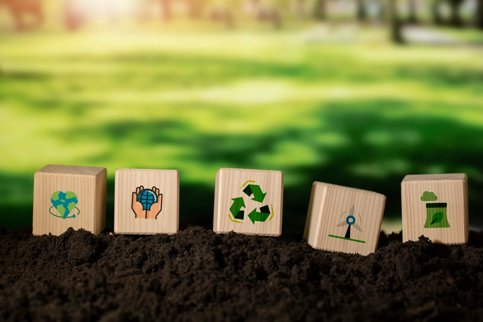 Wooden blocks with sustainability icons on soil, representing environmental responsibility and eco-friendly infrastructure practices.