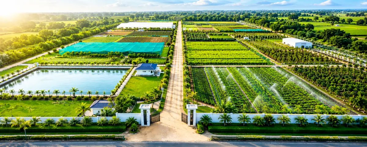 Aerial view of irrigated farmland, orchards, and reservoirs showcasing sustainable agriculture and eco-system development.